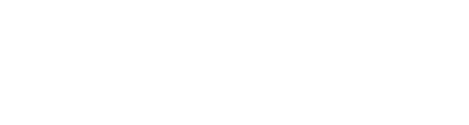 Flint Rehab